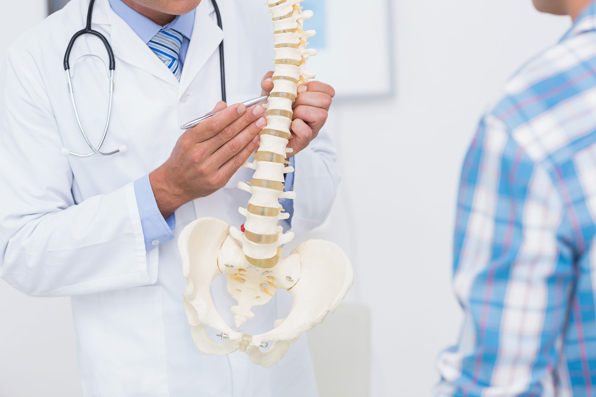 Doctor using a spine model to explain treatment to a patient